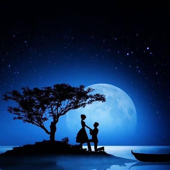 Meet your Posher, Solanki - Picture 1 of 1